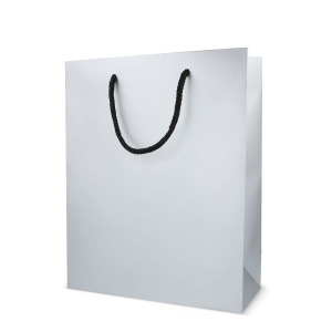 Papierowa torba prezentowa 24 x 10 x 30 cm 200 g/m²