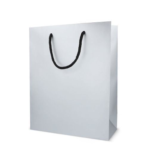 Papierowa torba prezentowa 24 x 10 x 30 cm 200 g/m² Srebrny LT91516-N0005 (1)