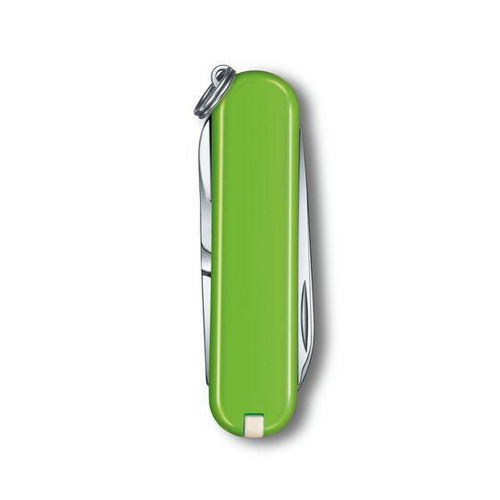 Scyzoryk Classic SD Victorinox Jasnozielony 0622343G29 (2)
