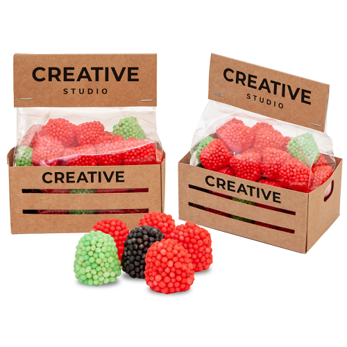 SKRZYNKA OGRODNIKA Wielokolorowy SZP22.17 