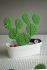 Pojemnik z wieszakiem na akcesoria Caccessories kaktus Biały QL10281-WH-GN (8) thumbnail