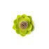 Pojemnik na wykałaczki Lotus Zielony QL10156-WH-GN (1) thumbnail