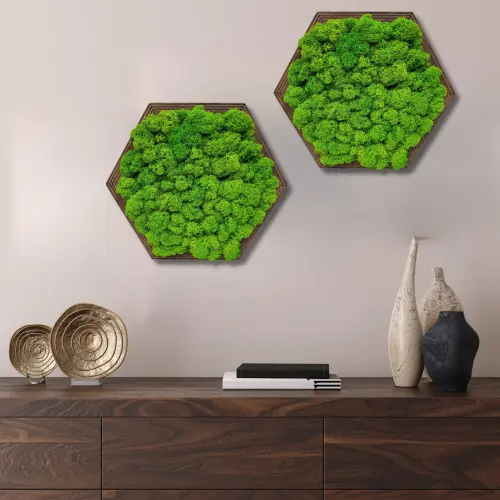 Obraz z mchu chrobotka reniferowego Uniwersalny DCLDR01 (2)