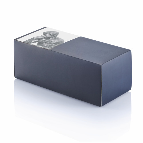 Zestaw łamigłówek Neutralny V6031-00 (2)