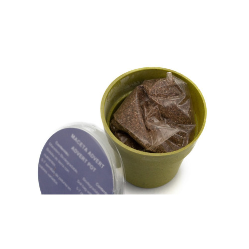 Doniczka do kwiatów, 5-8 nasion petunii i ziemia Zielony V8530-06 (8)