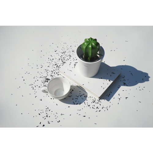 Pojemnik z łyżeczką na kawę kaktus Cacnister Biały QL10280-WH-GN (5)