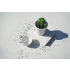 Pojemnik z łyżeczką na kawę kaktus Cacnister Biały QL10280-WH-GN (5) thumbnail