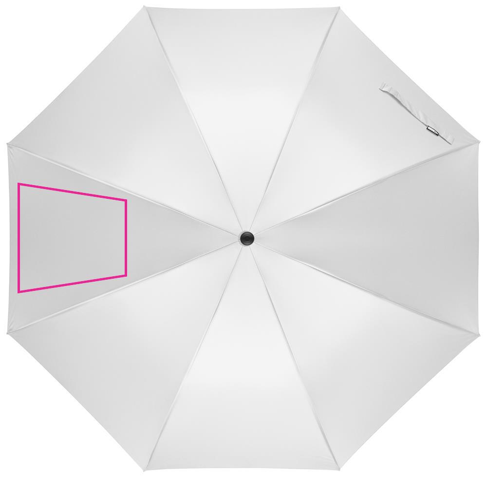 SEGMENT 2