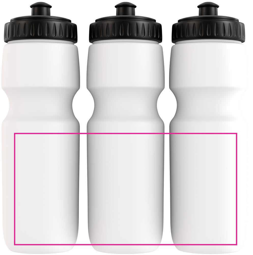 BOTTLE DL