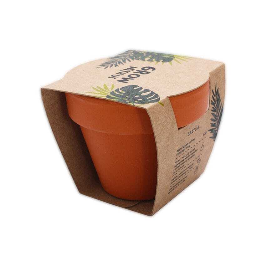 Gadżet reklamowy - 50x Grow kit minimal