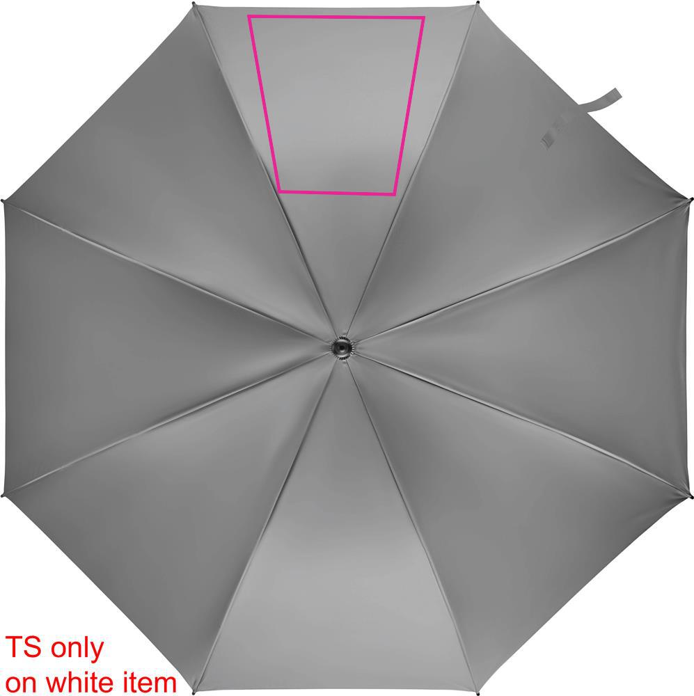SEGMENT 3