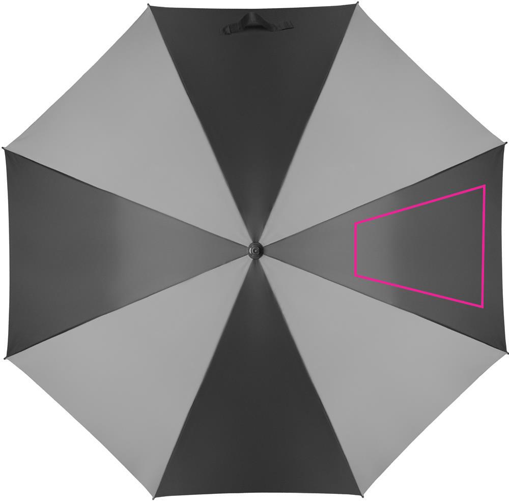SEGMENT 3