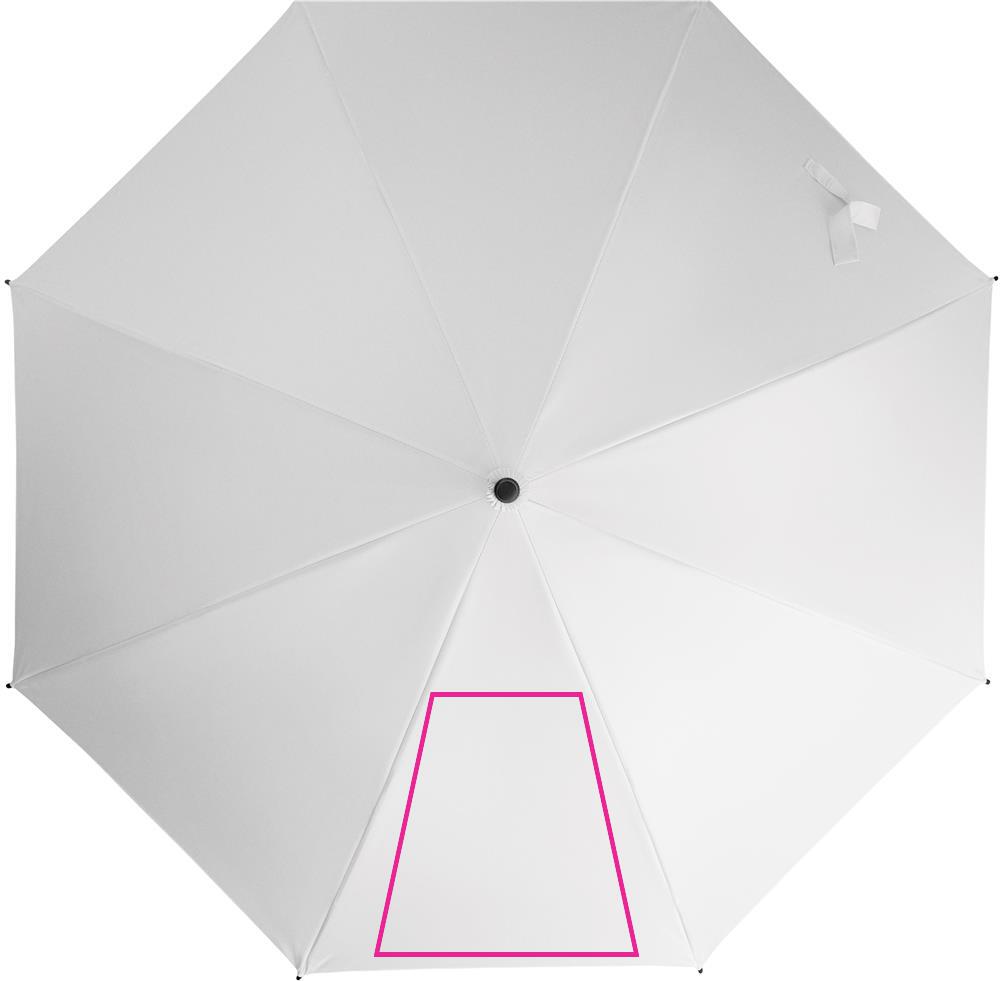 SEGMENT 1