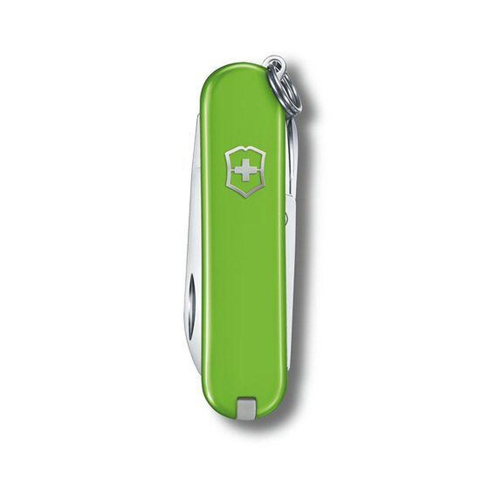 Scyzoryk Classic SD transparentny Victorinox Jasnozielony 0622343G29 (1)