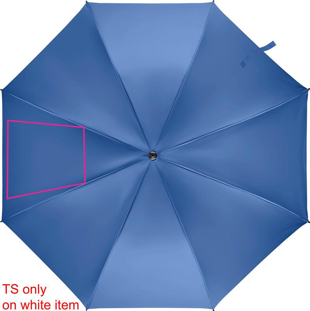 SEGMENT 2
