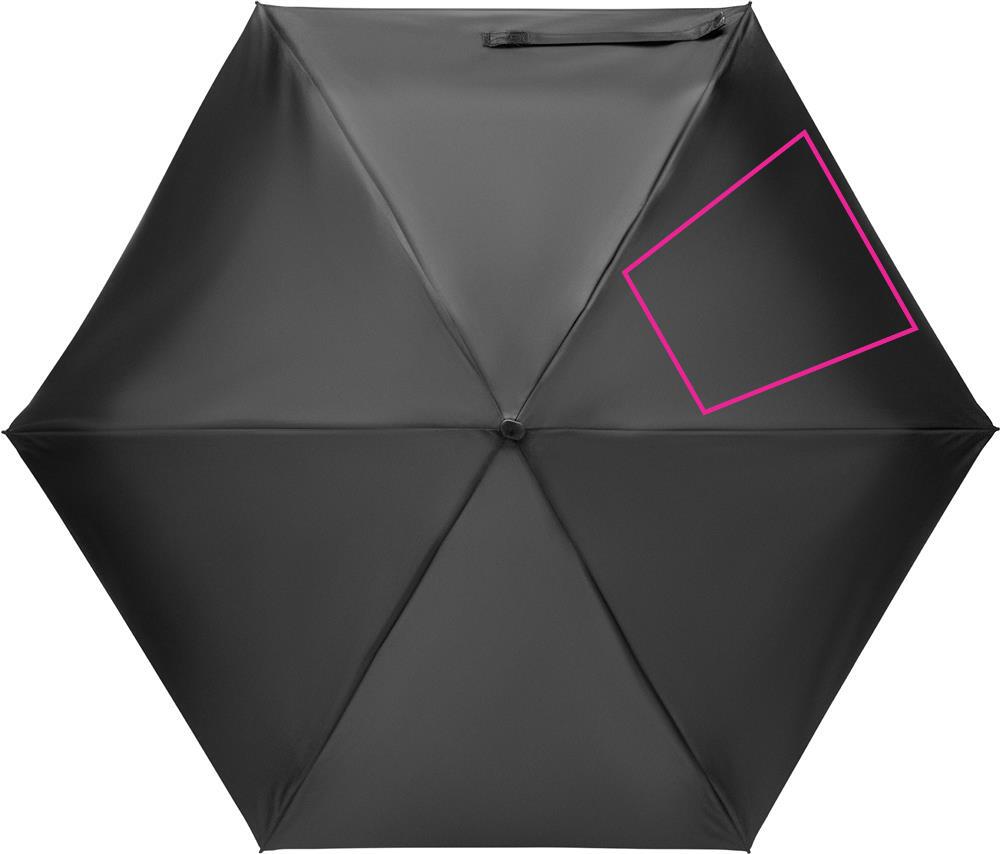 SEGMENT 3