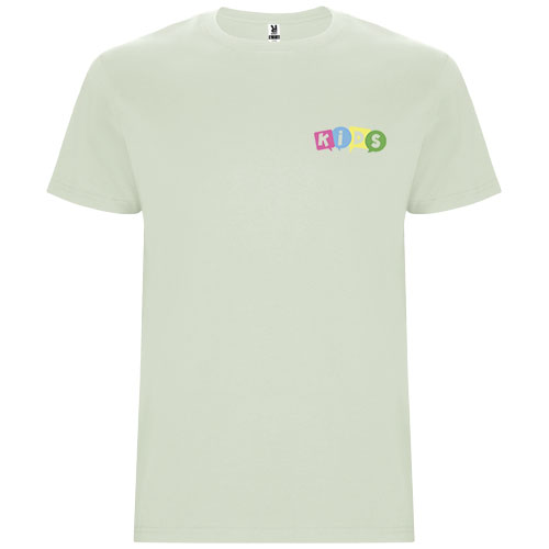 Stafford koszulka dziecięca z krótkim rękawem Mist Green K66815QL (1)