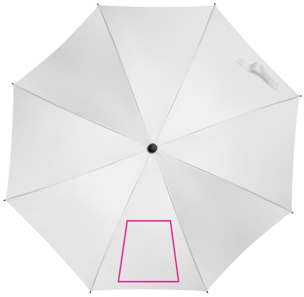 SEGMENT 1