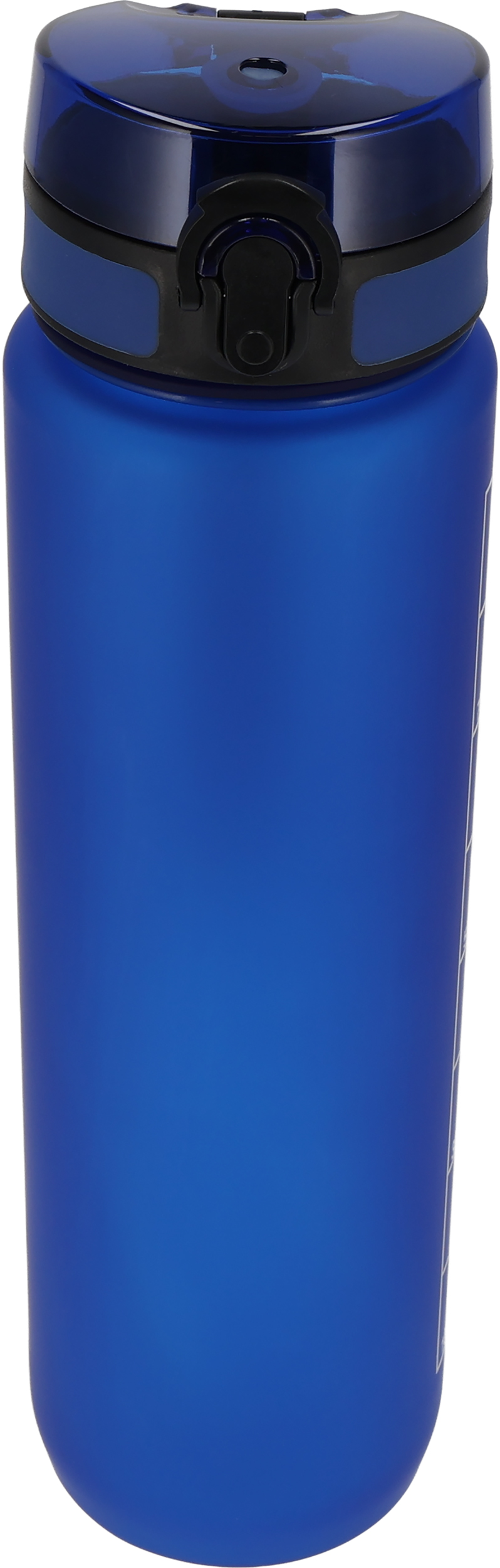 Butelka z tritanu 1000 ml ALDO Niebieski 8358304 (1)