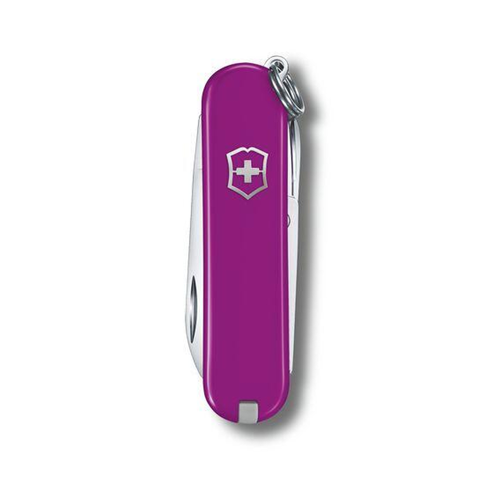Scyzoryk Classic SD transparentny Victorinox Fioletowy 0622352G12 (1)