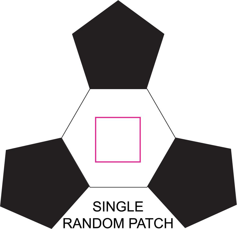 SINGLE RANDOM PATCH