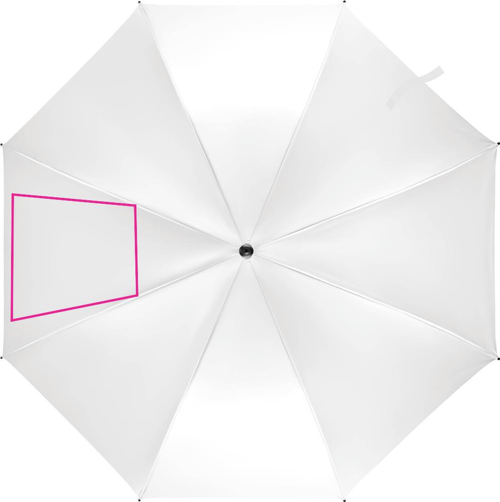SEGMENT 2