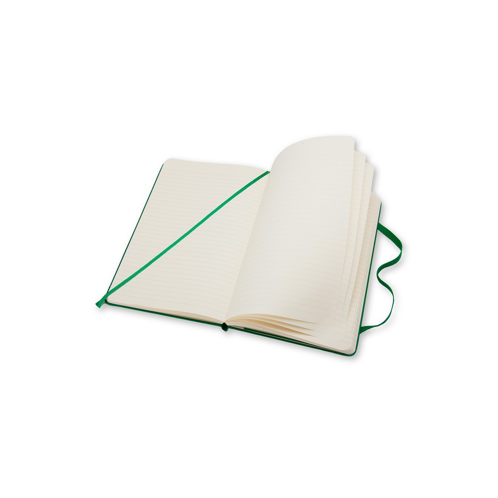 MOLESKINE Notatnik ok. A5 Zielony VM301-06 (4)