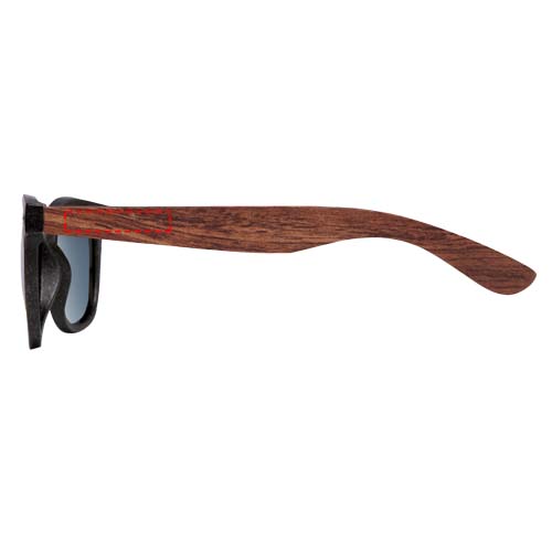 left temple (30 x 6)