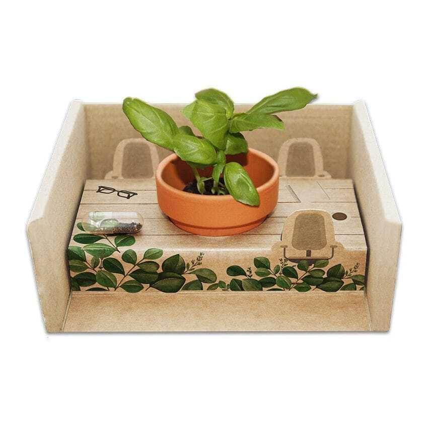 Gadżet reklamowy - 50x Diorama z nasionami
