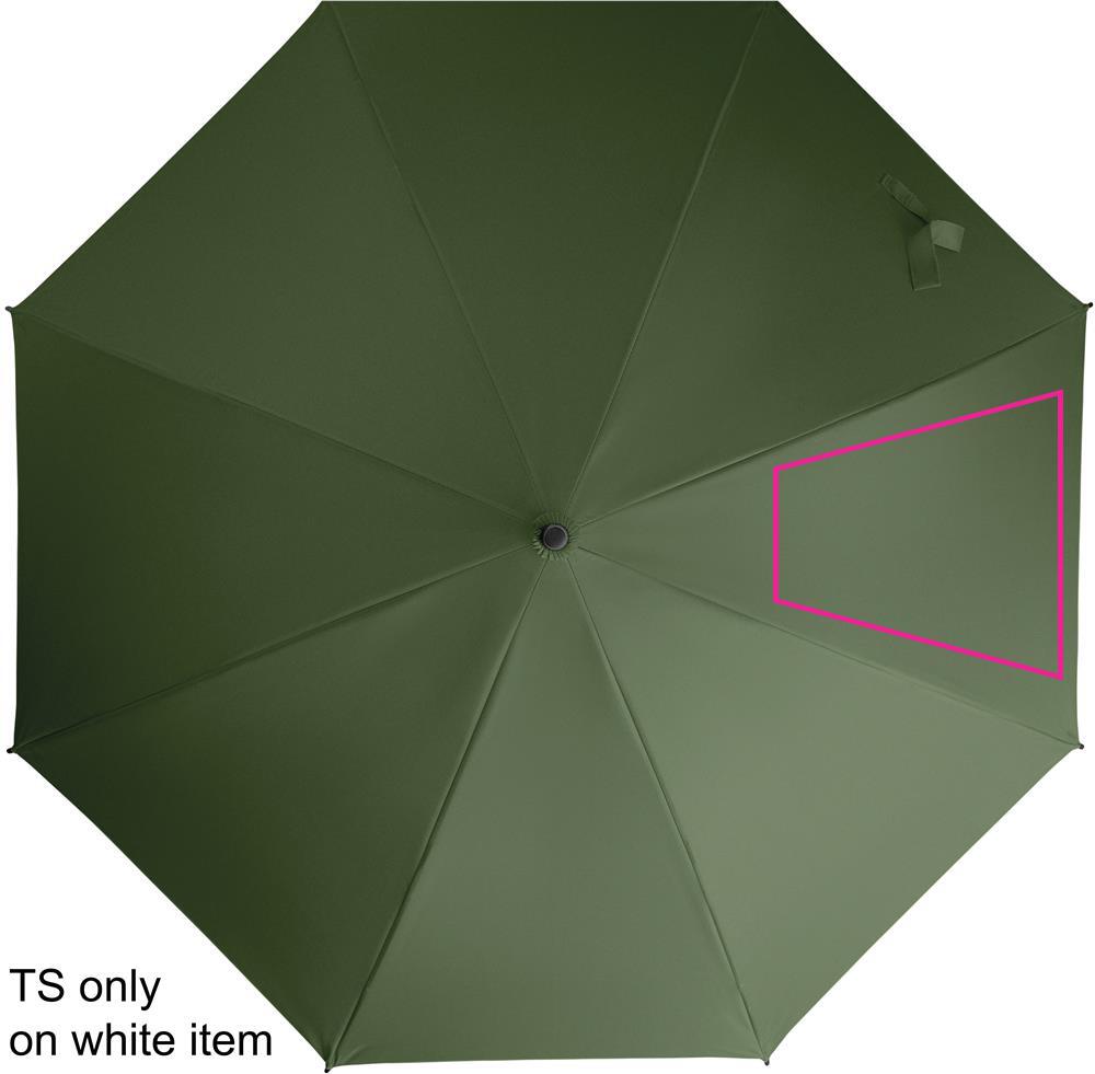 SEGMENT 4