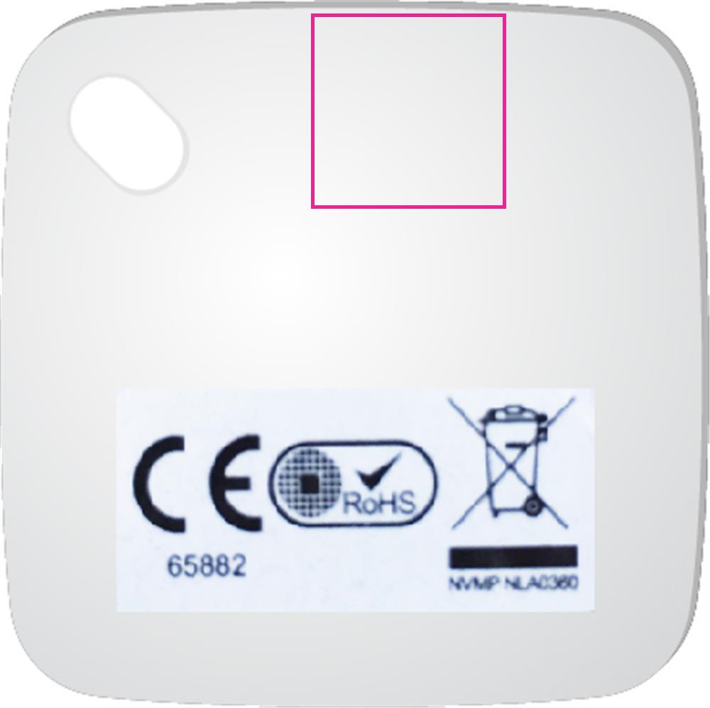 BACK (PAD)