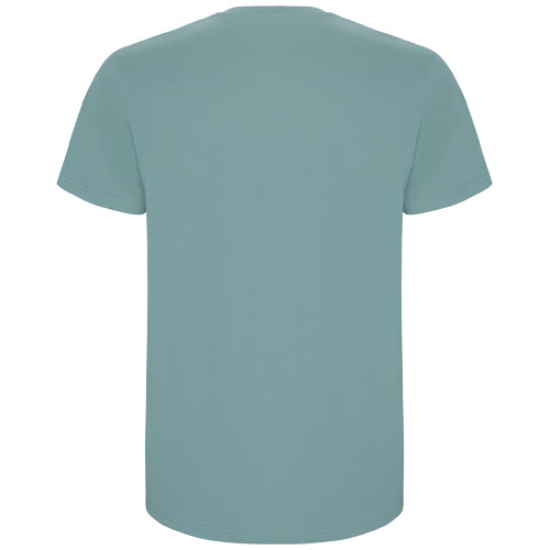 Stafford koszulka męska z krótkim rękawem Dusty Blue R66811M5 (2)