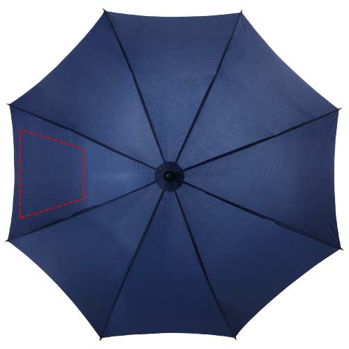 7-my panel (300 x 215)