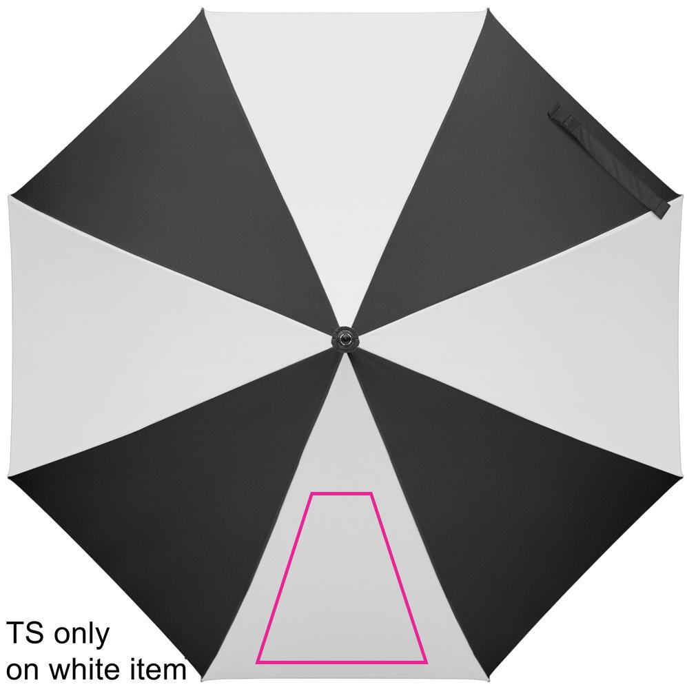 SEGMENT 1