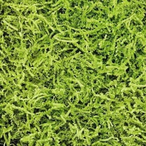 Wypełniacz papierowy 1kg Limonka WYPOG001LME 