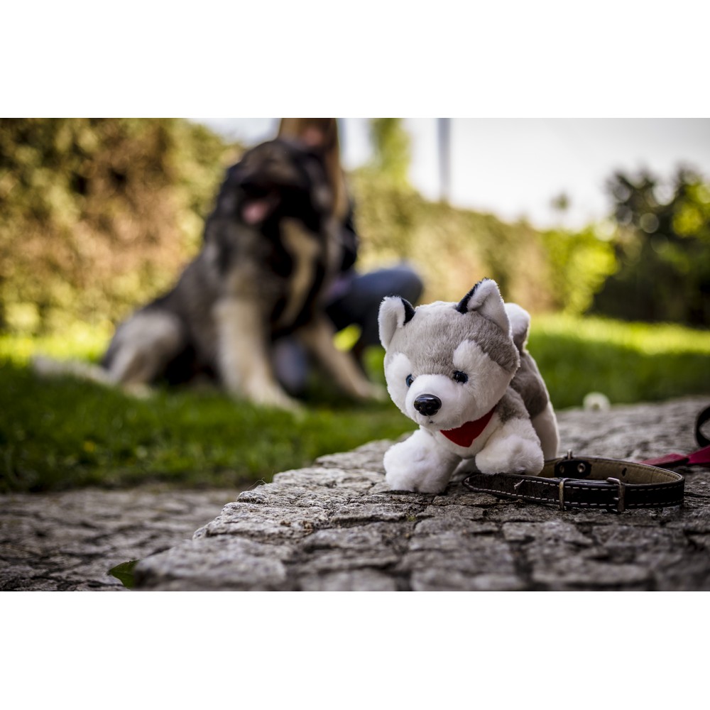Pluszowy pies husky | Trooper Szary HE692-19 (1)