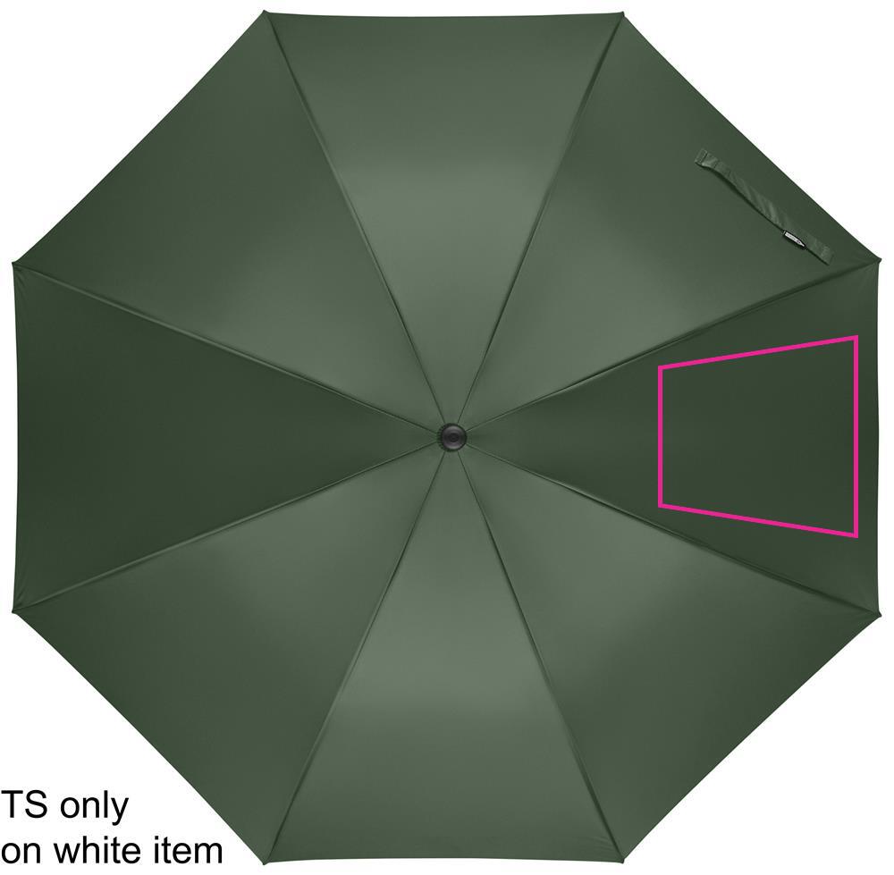 SEGMENT 4