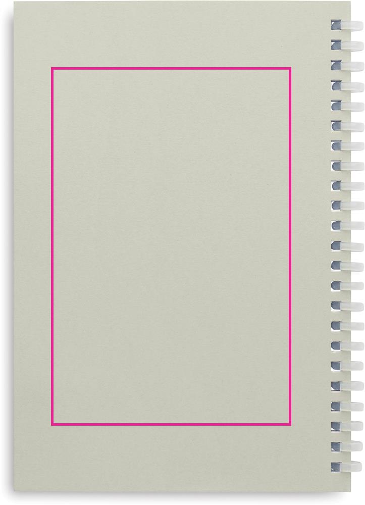 BACK SCREEN