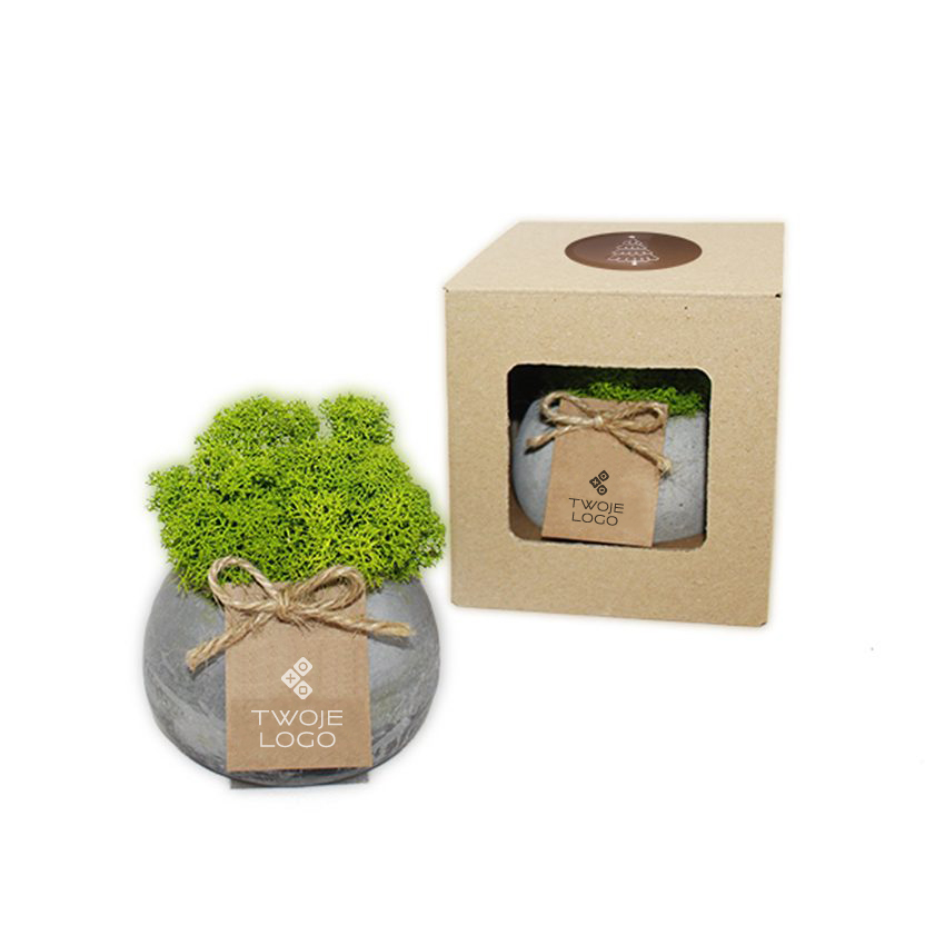 Gadżet reklamowy - 50x Chrobotek w doniczce