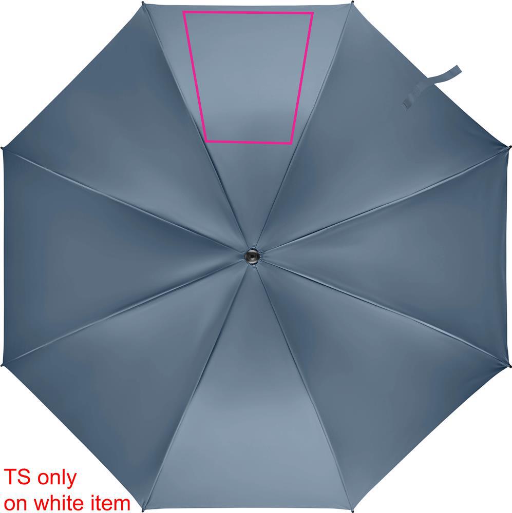 SEGMENT 3