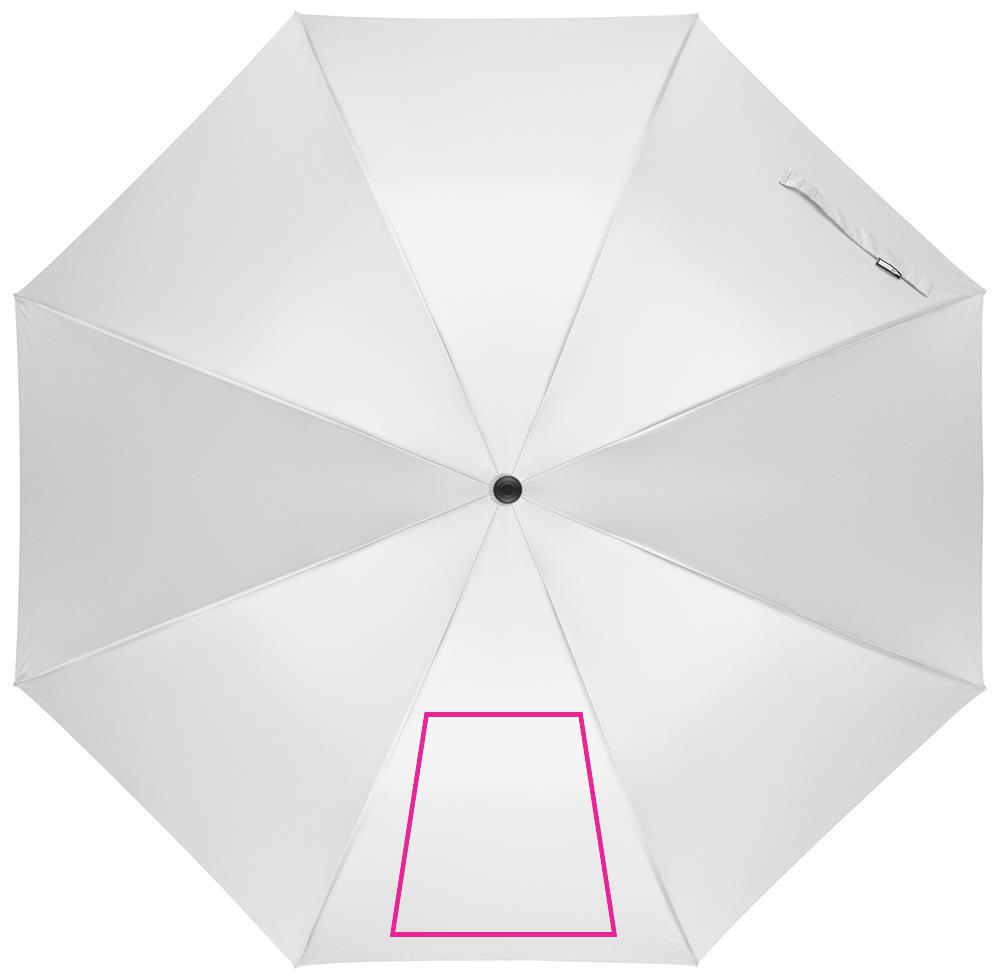 SEGMENT 1