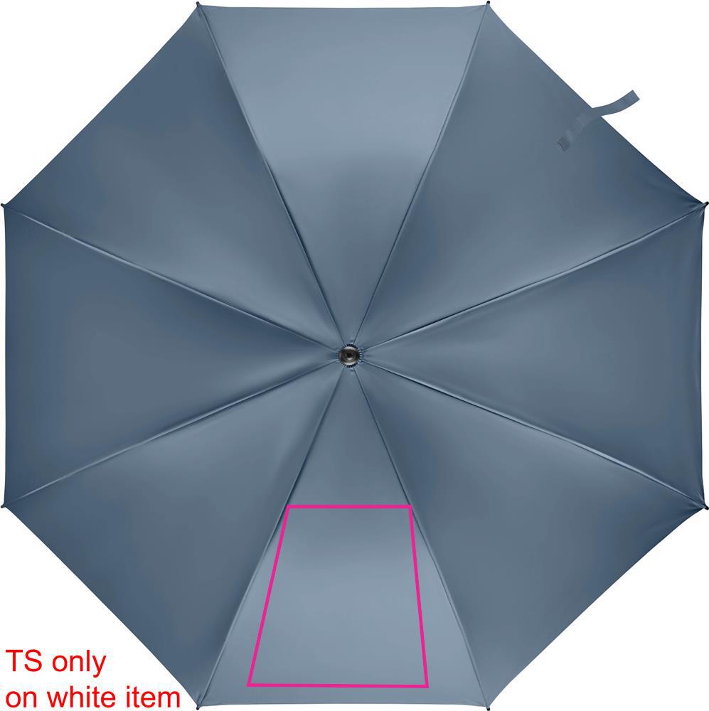SEGMENT 1