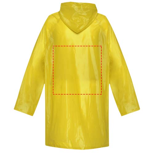 na górze z tyłu (300 x 300)