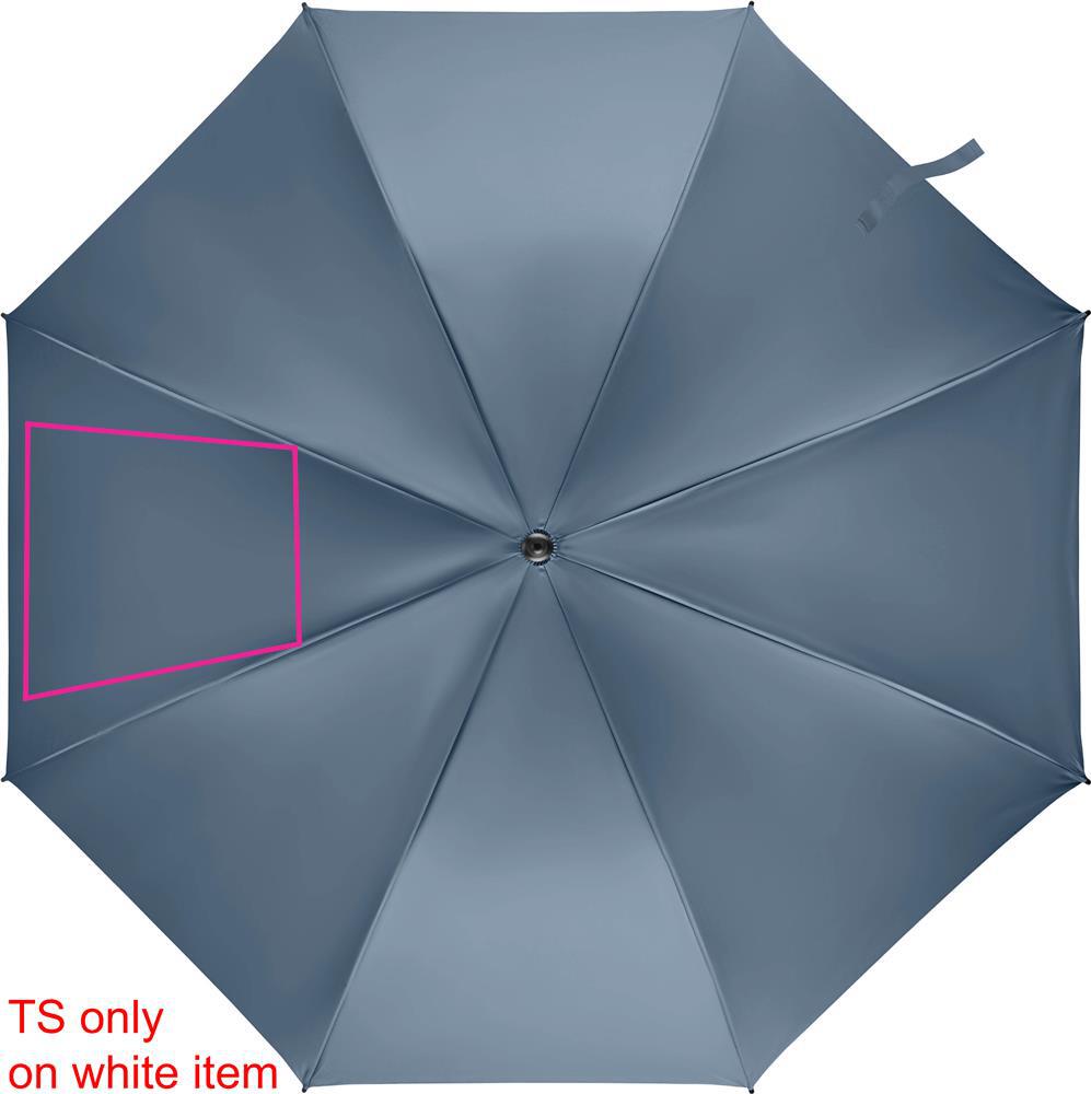 SEGMENT 2