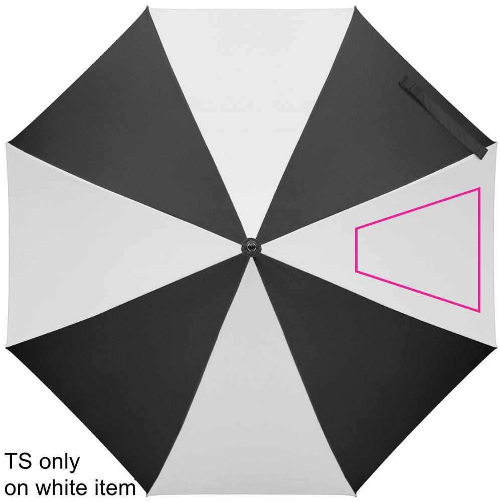 SEGMENT 4