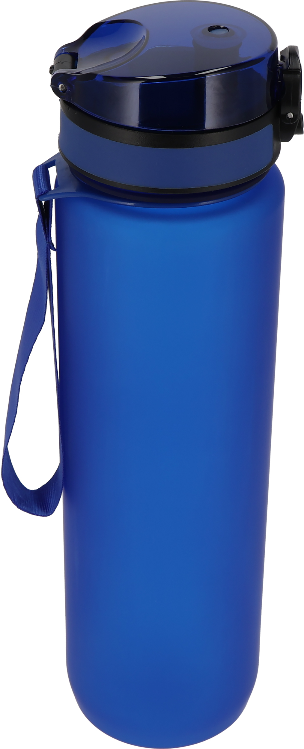 Butelka z tritanu 1000 ml ALDO Niebieski 8358304 (2)