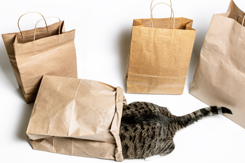 Bądź Eko! Zamów torby papierowe z nadrukiem jako opakowanie dla swoich produktów