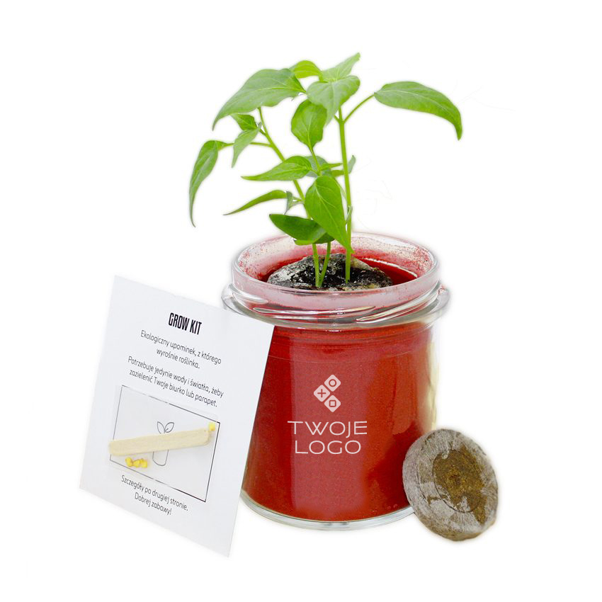 Gadżet reklamowy - 20x Grow Kit Szklany