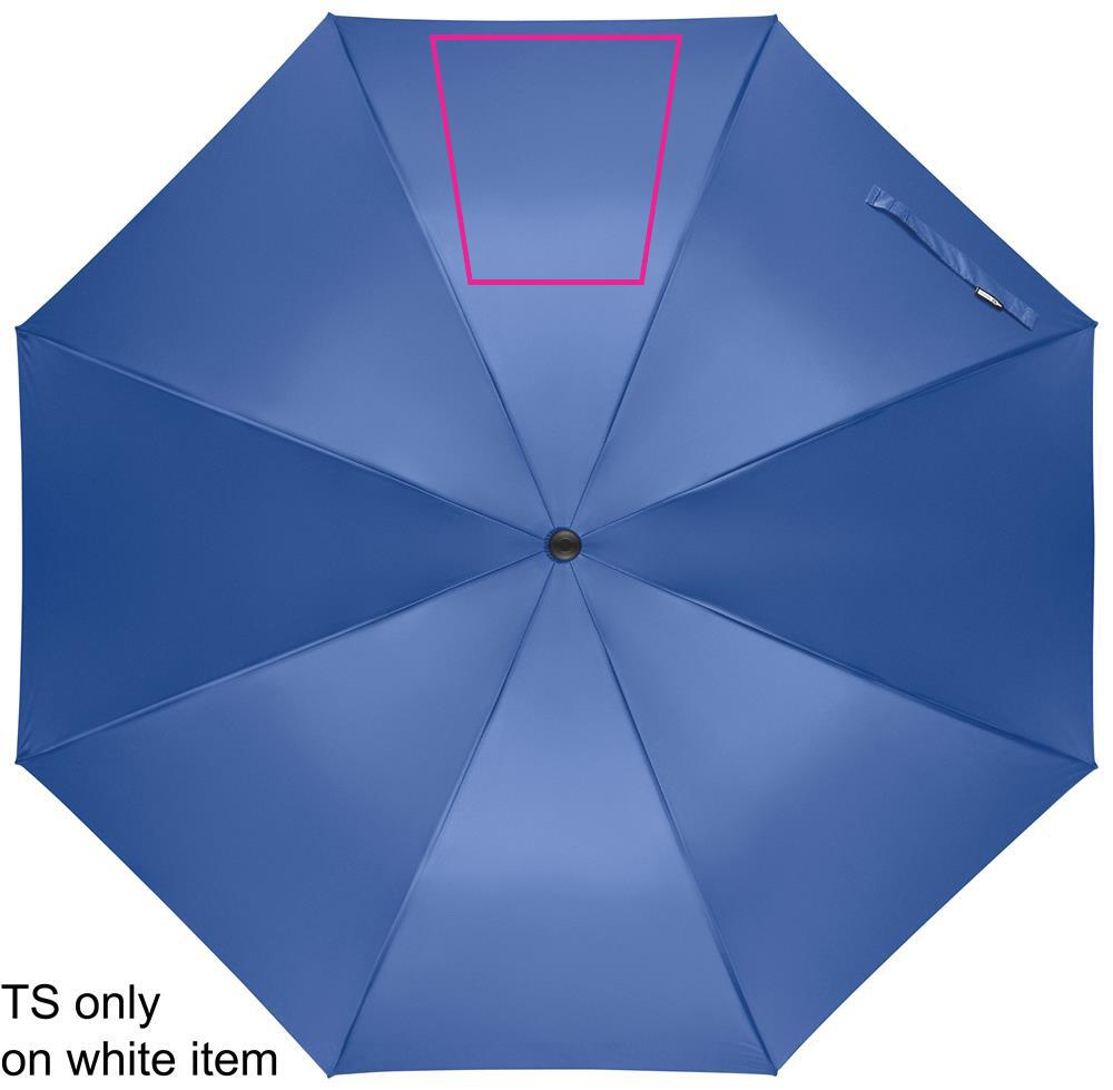 SEGMENT 3