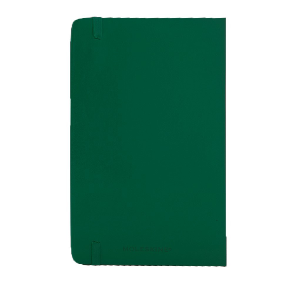 MOLESKINE Notatnik ok. A5 Zielony VM301-06 (10)
